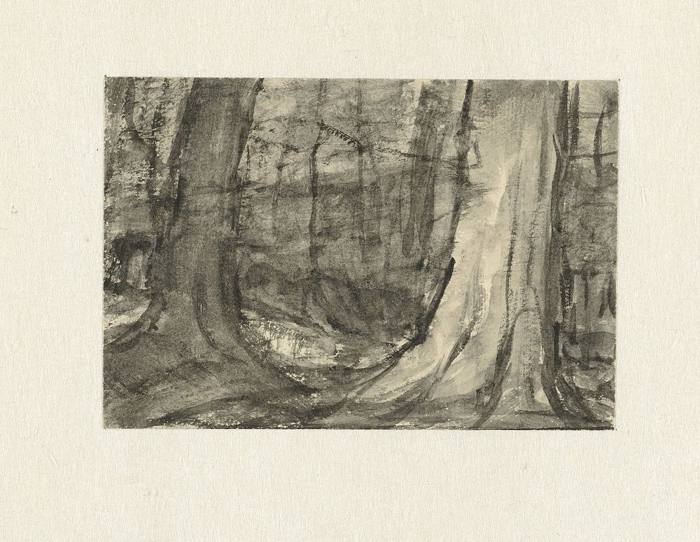Gezicht tussen bomen (1844 - 1909) by Sientje Mesdag van Houten