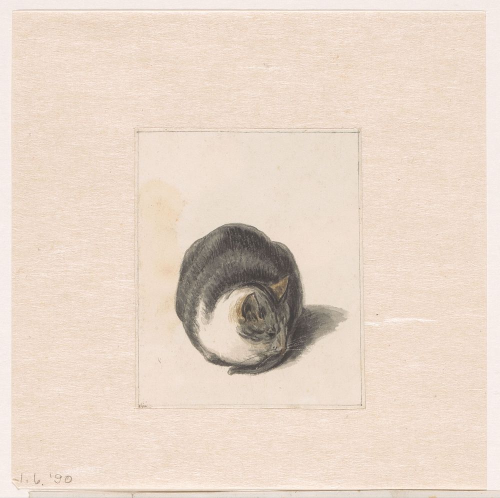 Seated Cat, Seen from the Front (1782 - 1837) by Pieter Bartholomeusz Barbiers