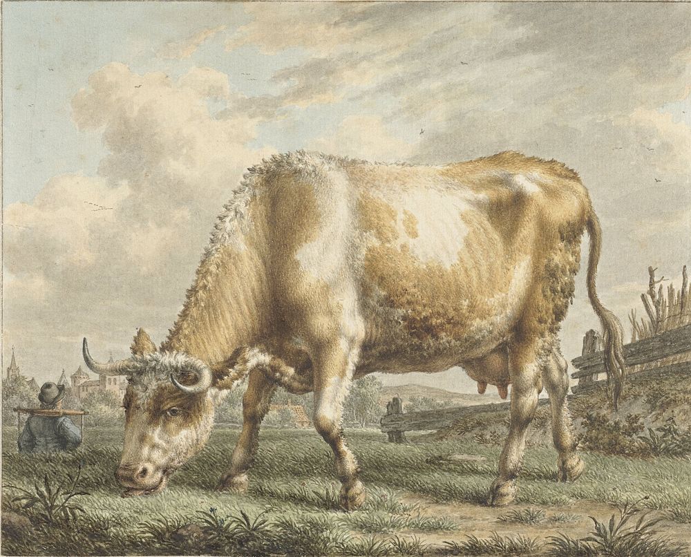 Grazing Cow (1783) by Jacob Cats 1741 1799