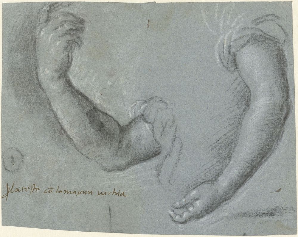 Twee armen van een vrouw (1510 - 1571) by Paris Bordone