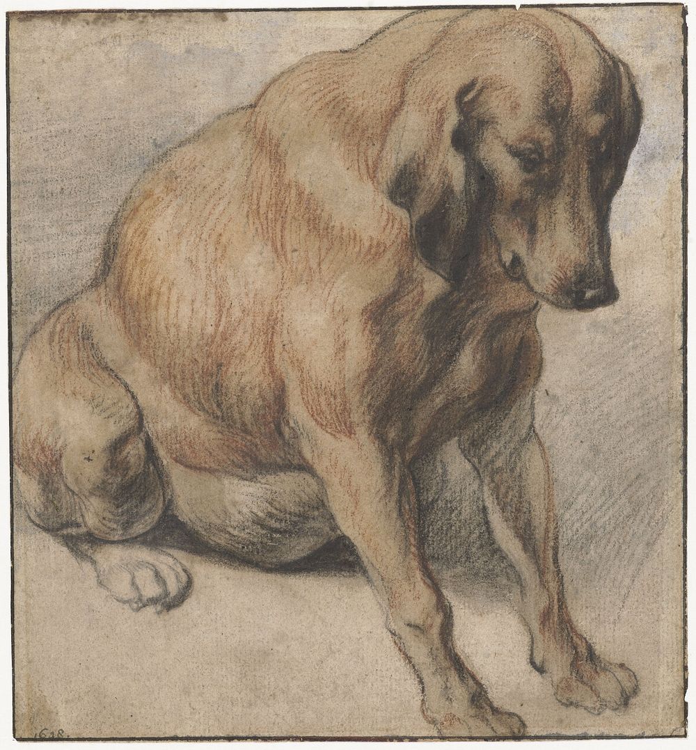 Seated Dog (1638) by Jacques Jordaens and Cornelis Saftleven