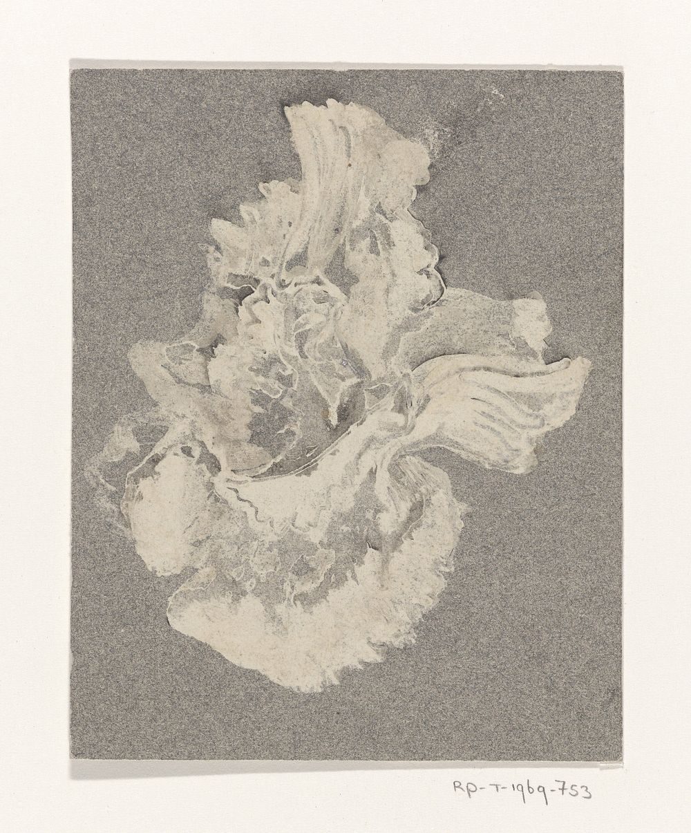 Azaleabloem (c. 1915) by Carel Adolph Lion Cachet