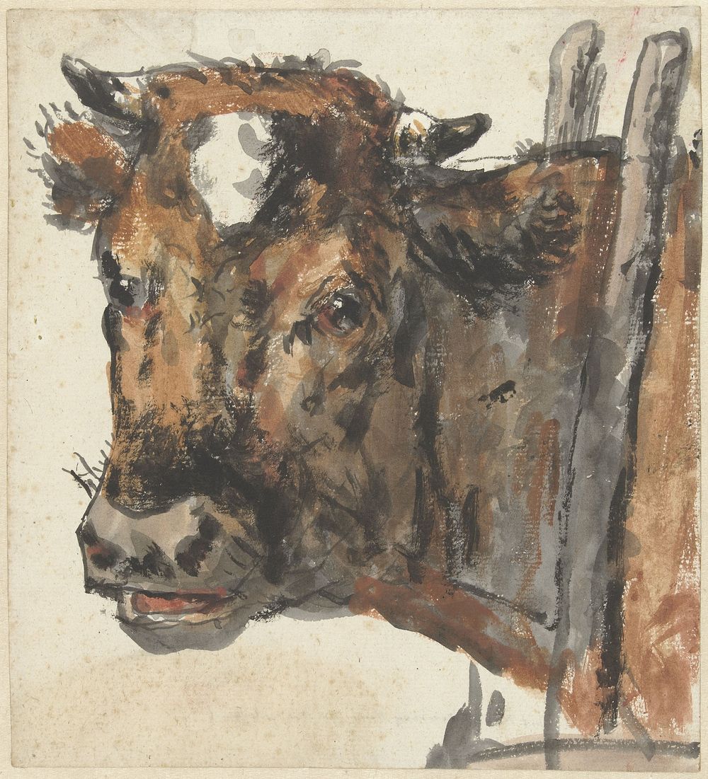 Kop van een koe (1788 - 1814) by Jan Kobell II