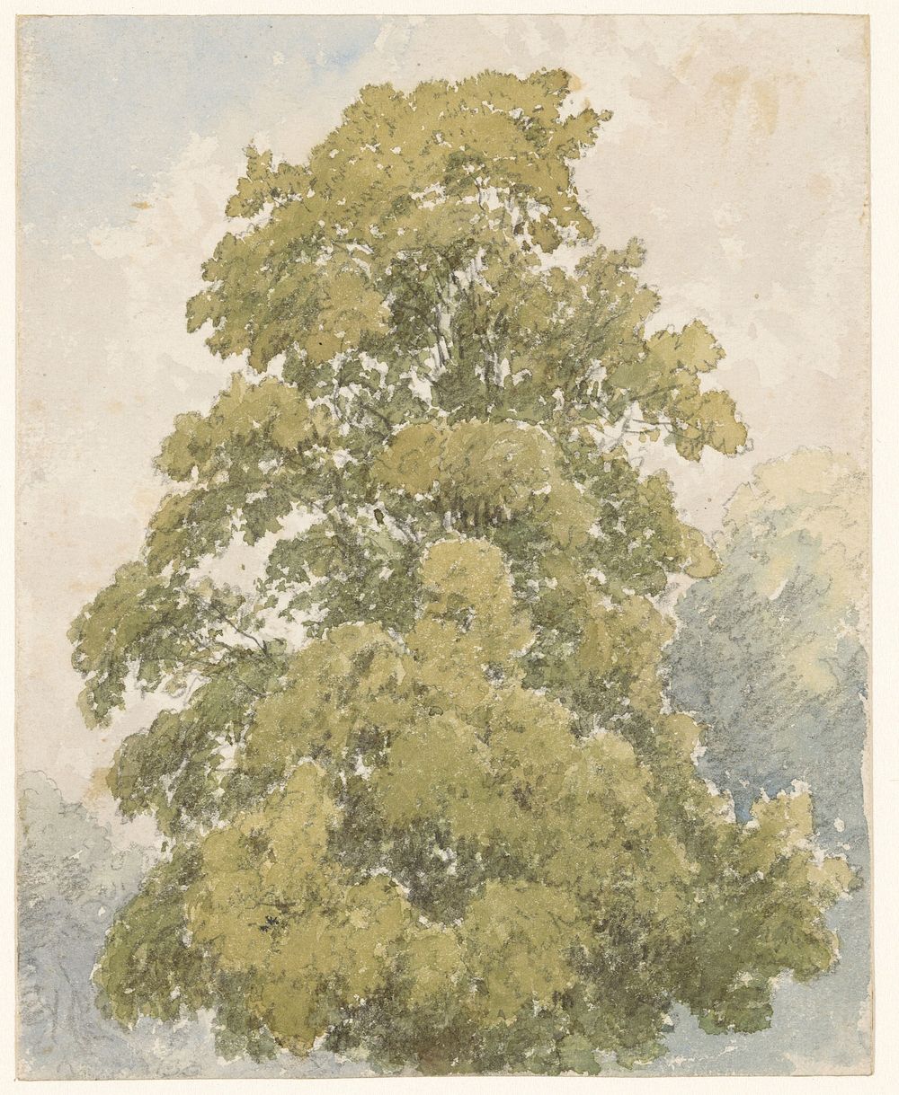 Studie van een iep (1817 - 1870) by Aaron Edwin Penley