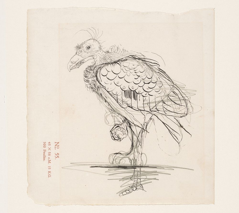 Vogel op één poot, mogelijk een gier (1899 - 1920) by Jan Mankes
