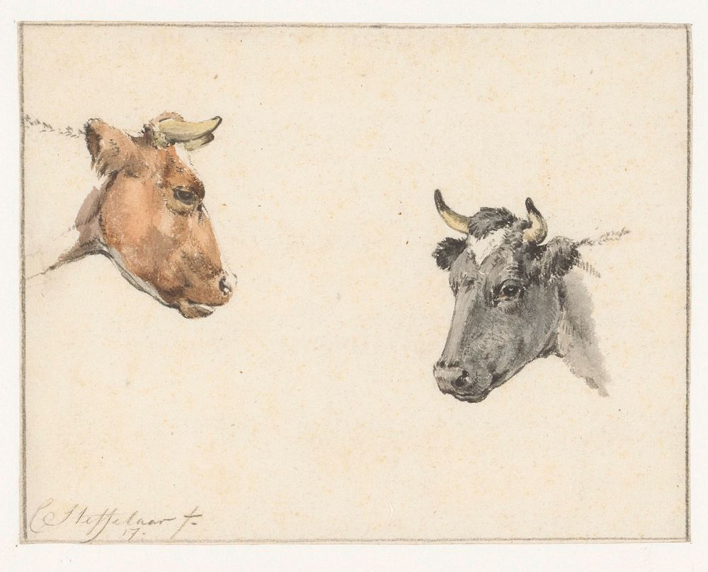 Studieblad met twee koeienkoppen (1817) by Cornelis Steffelaar