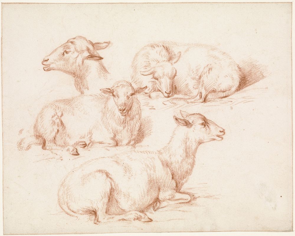 Studieblad met schapen (1824 - 1859) by Pieter Jan Guise
