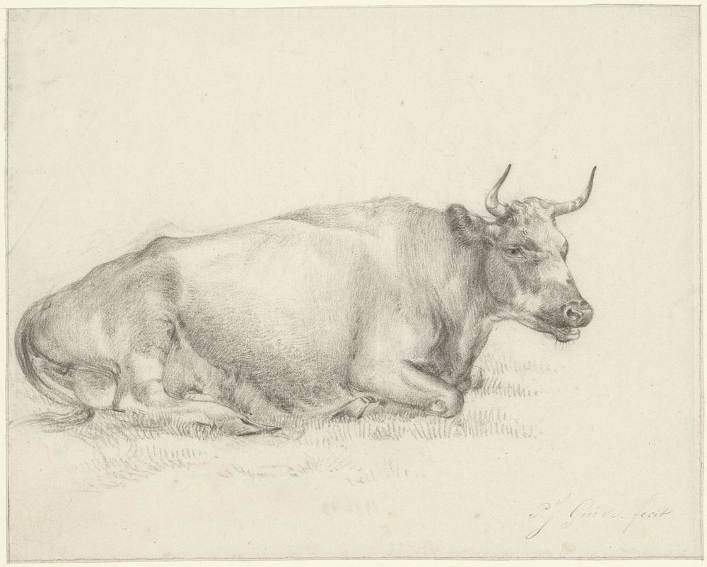 Liggende koe, naar rechts (1824 - 1859) by Pieter Jan Guise