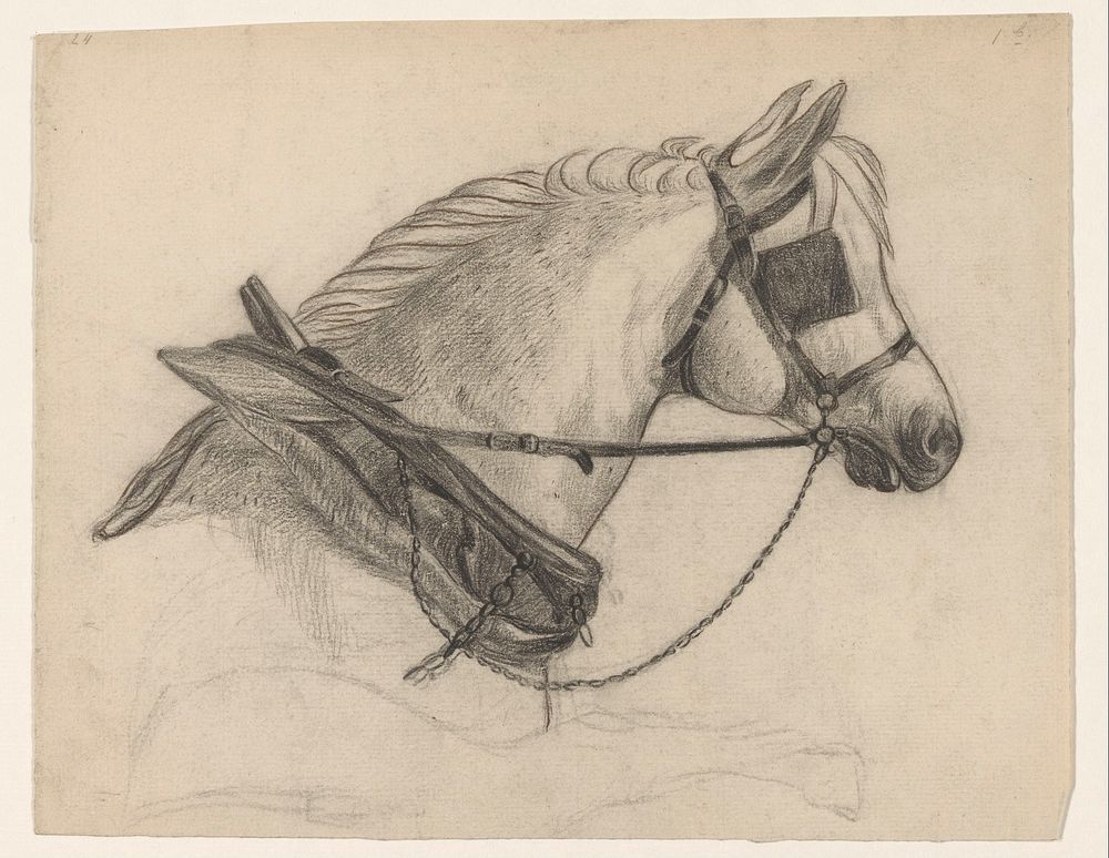 Paard met oogkleppen (1819 - 1881) by Johannes Tavenraat