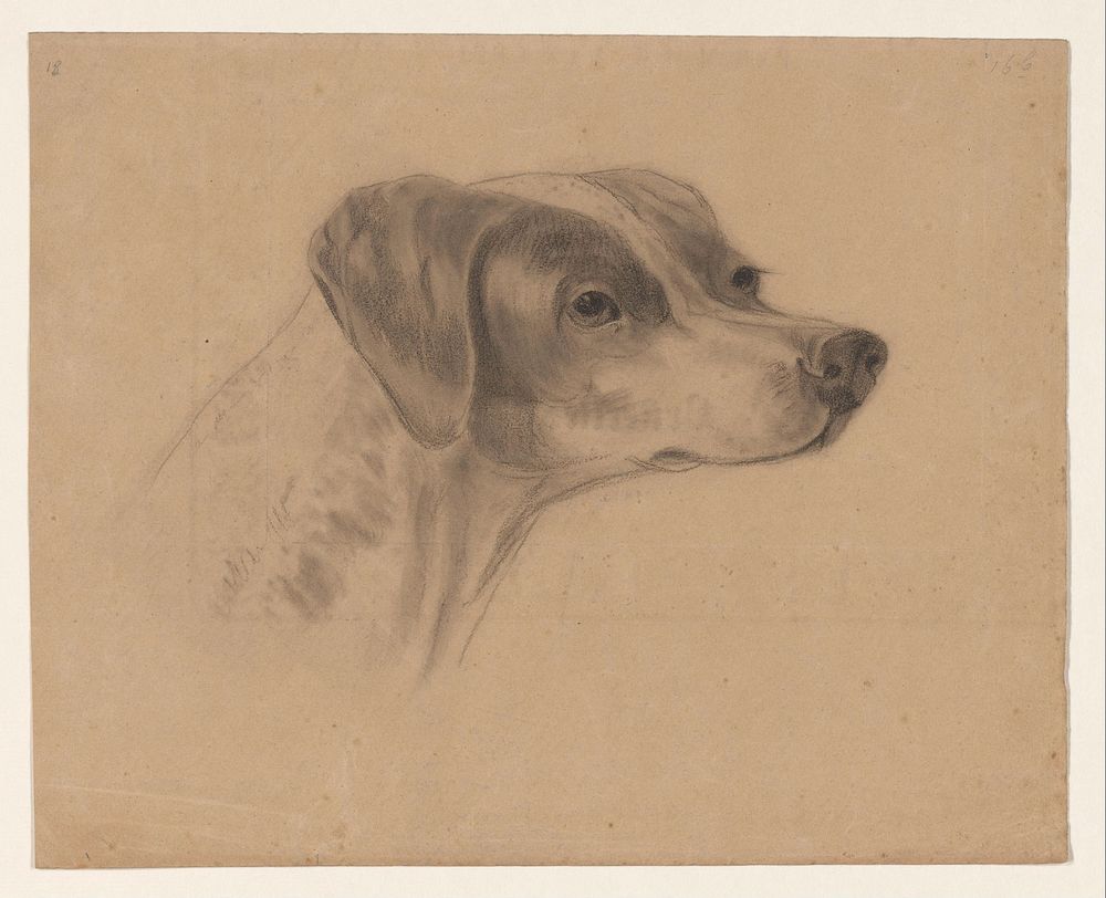 Kop van een hond, naar rechts (1819 - 1881) by Johannes Tavenraat