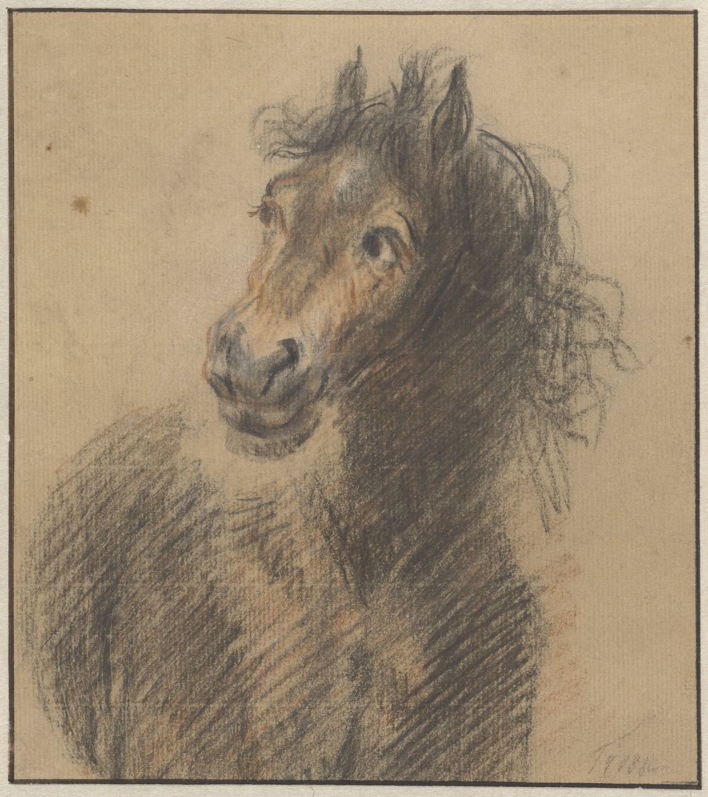 Paard, van voren gezien, de kop naar links (1706 - 1750) by Cornelis Troost