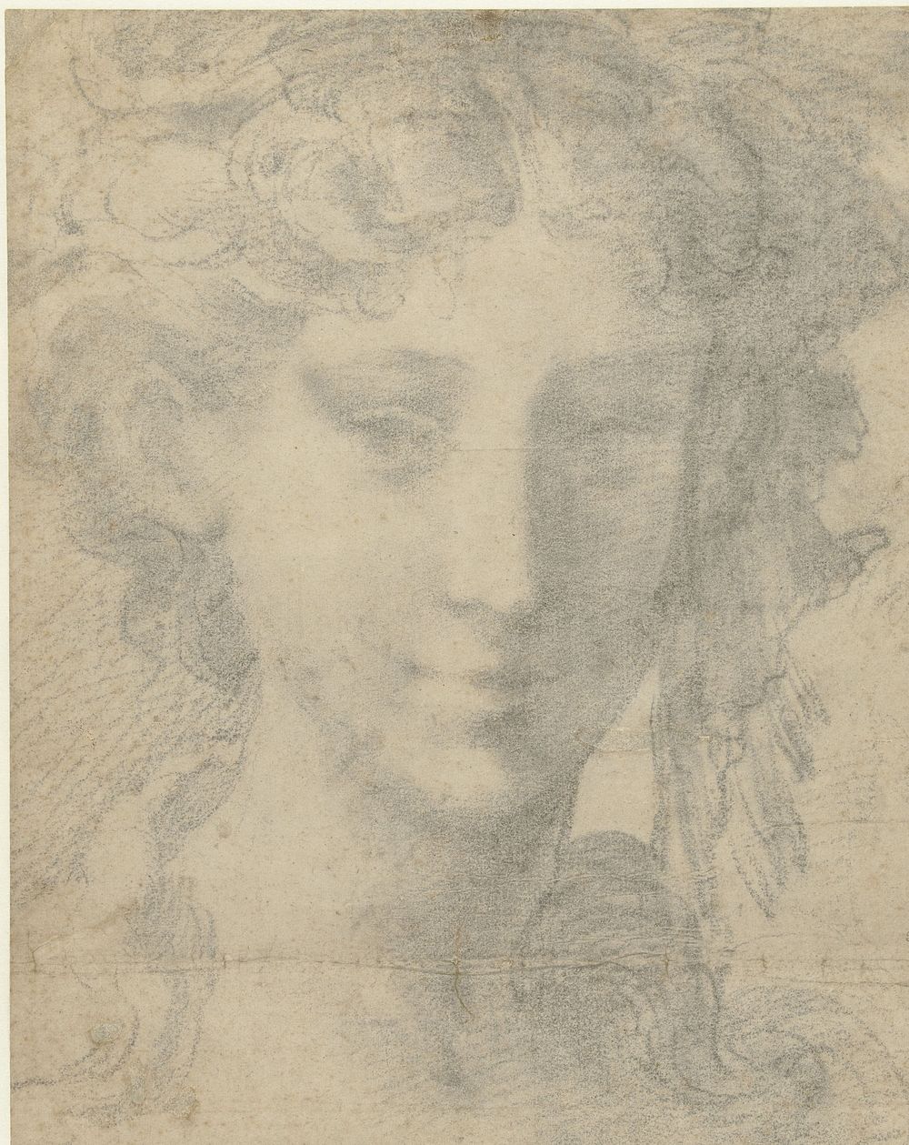 Hoofd van vrouw (1530 - 1535) by Parmigianino