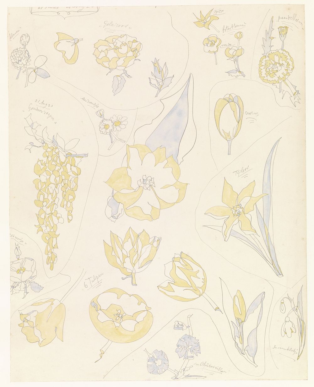 Ontwerpen voor aardewerkdecoratie: zes tulpen en andere bloemen (1920) by Theo Colenbrander