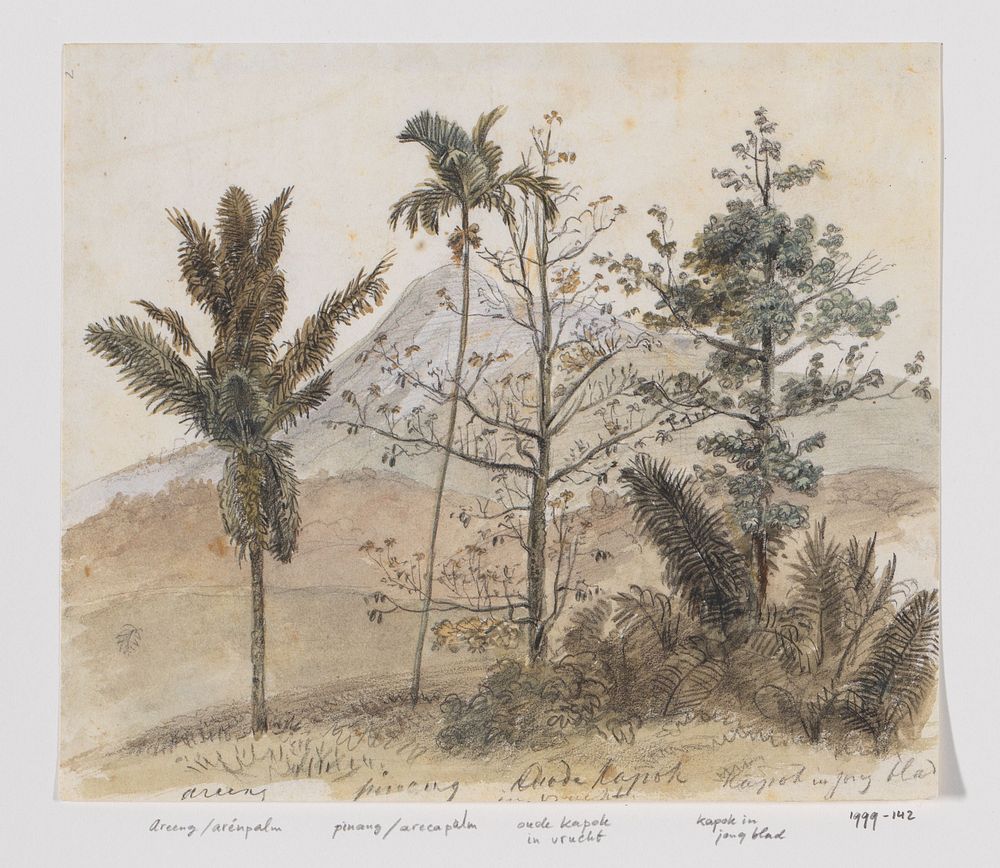 Bomen in berglandschap Java (c. 1816 - c. 1846) by Adrianus Johannes Bik