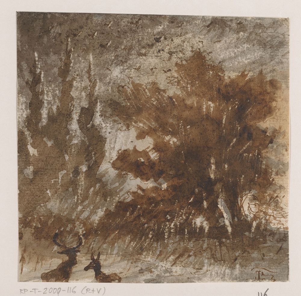 Herten en vogels bij hoge bomen (1835 - 1845) by Johannes Tavenraat