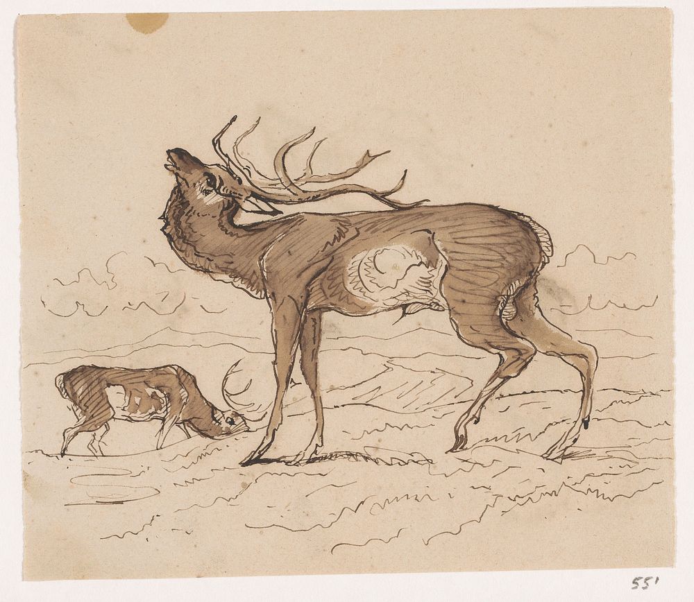 Twee herten (1840 - 1880) by Johannes Tavenraat