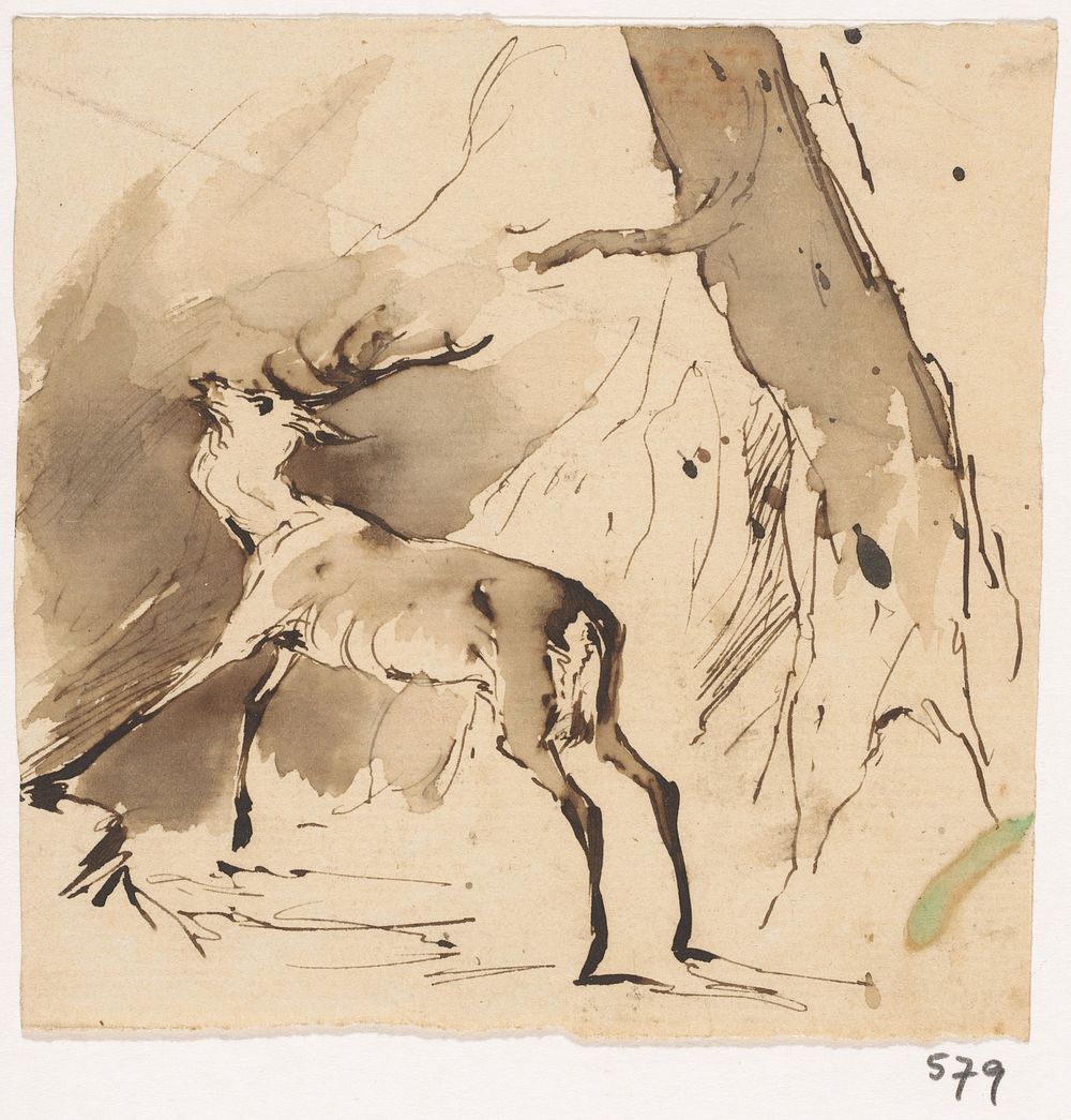 Hert in het woud (1840 - 1880) by Johannes Tavenraat