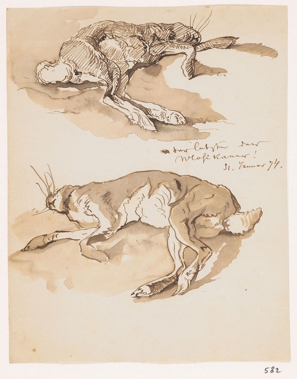 Twee studies van een dode haas (1874) by Johannes Tavenraat