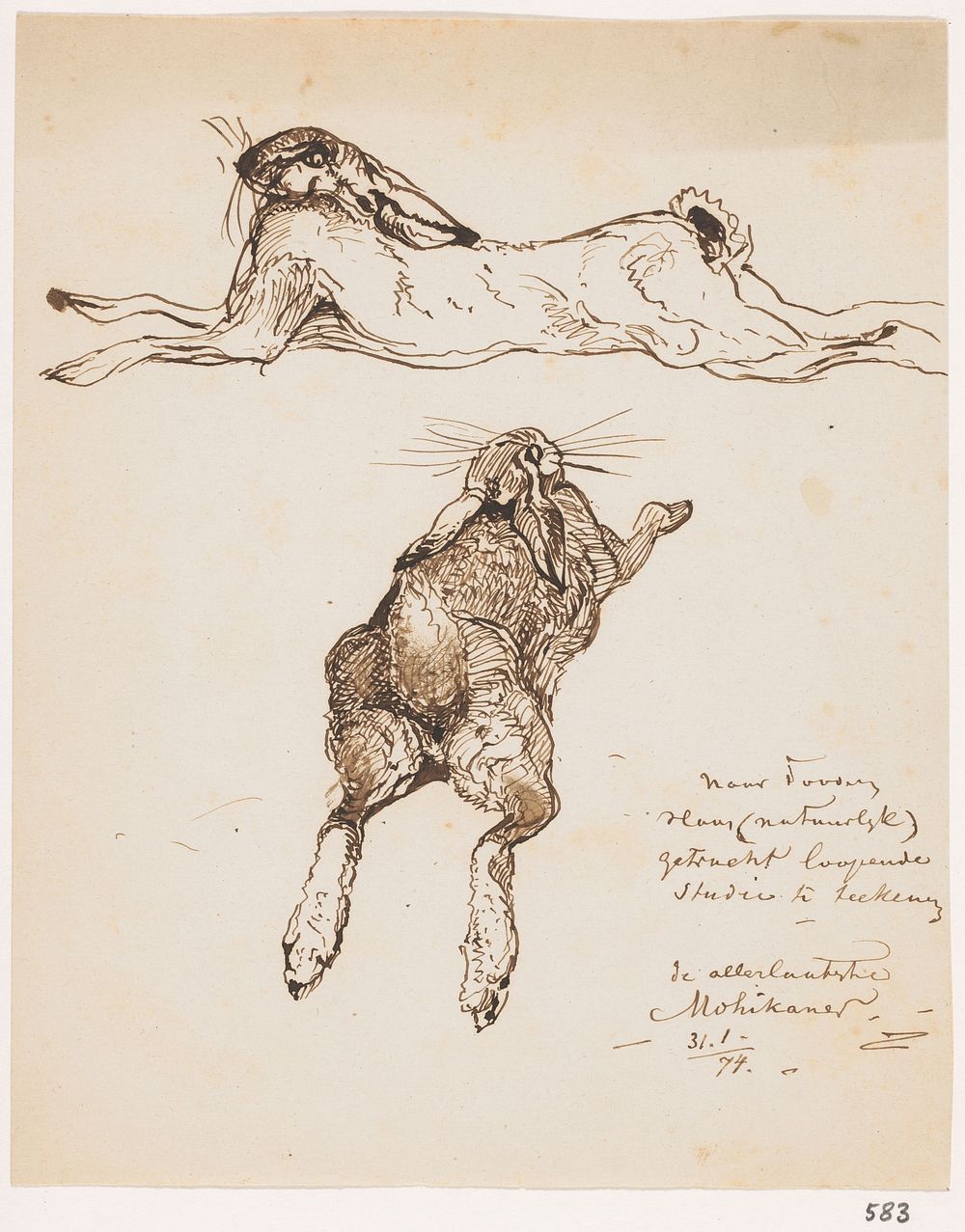 Twee studies van een dode haas (1874) by Johannes Tavenraat