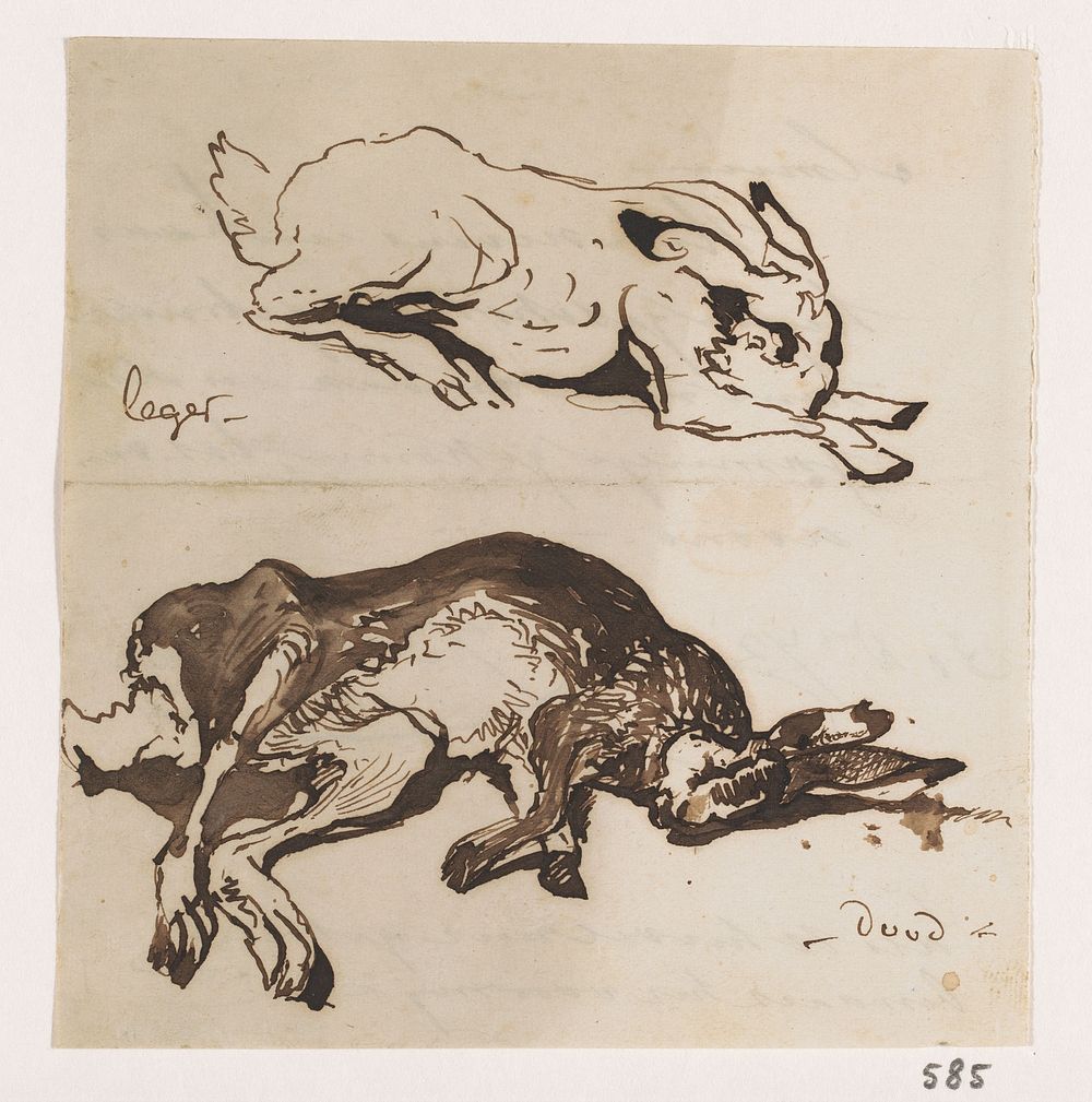 Twee studies van een haas (1872 - 1873) by Johannes Tavenraat
