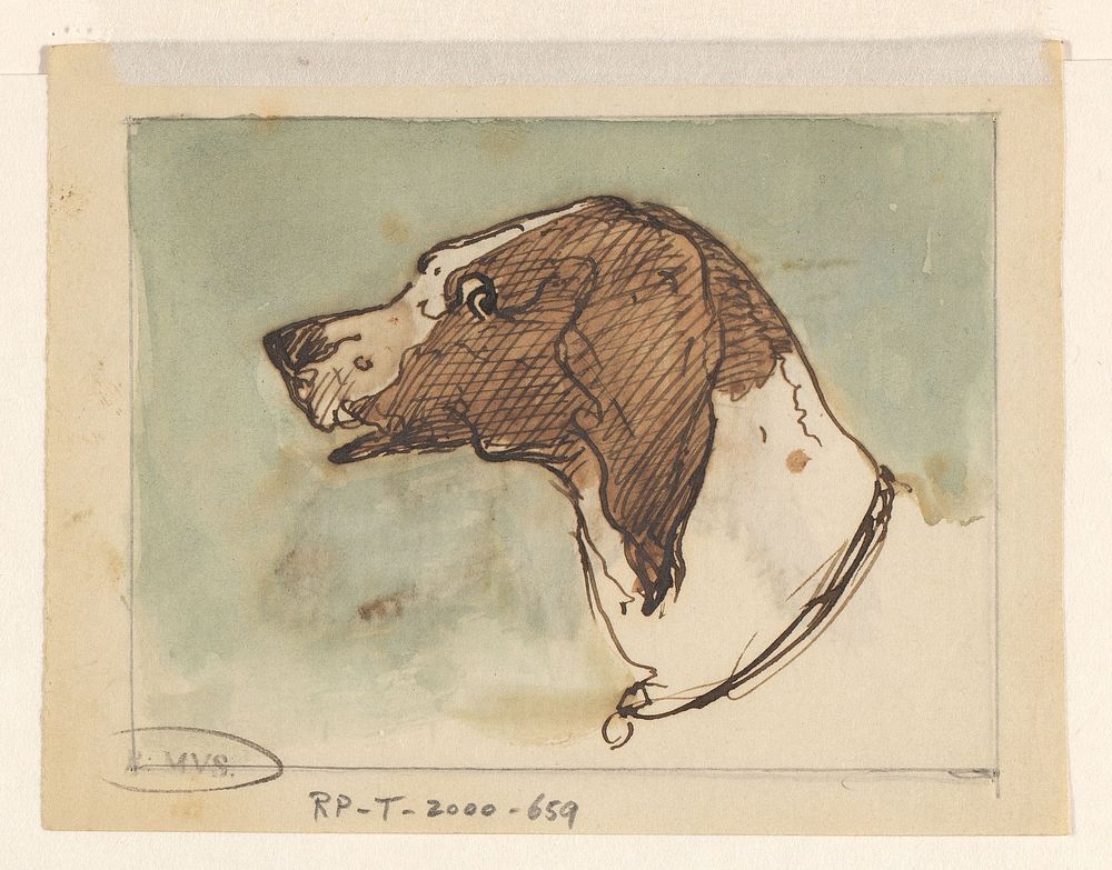 Kop van een hond (1840 - 1880) by Johannes Tavenraat