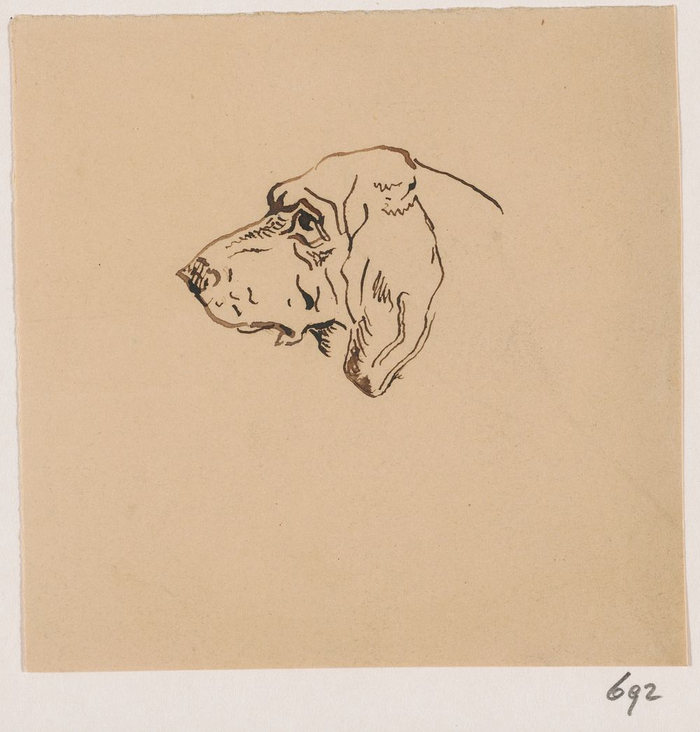 Kop van een jachthond (1840 - 1880) by Johannes Tavenraat