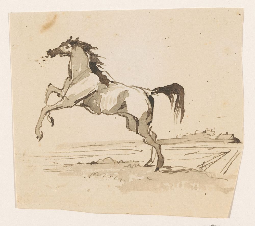 Springend paard, in het veld (1840 - 1880) by Johannes Tavenraat