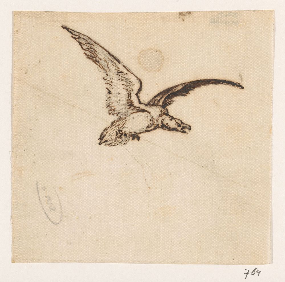 Roofvogel (1840 - 1880) by Johannes Tavenraat