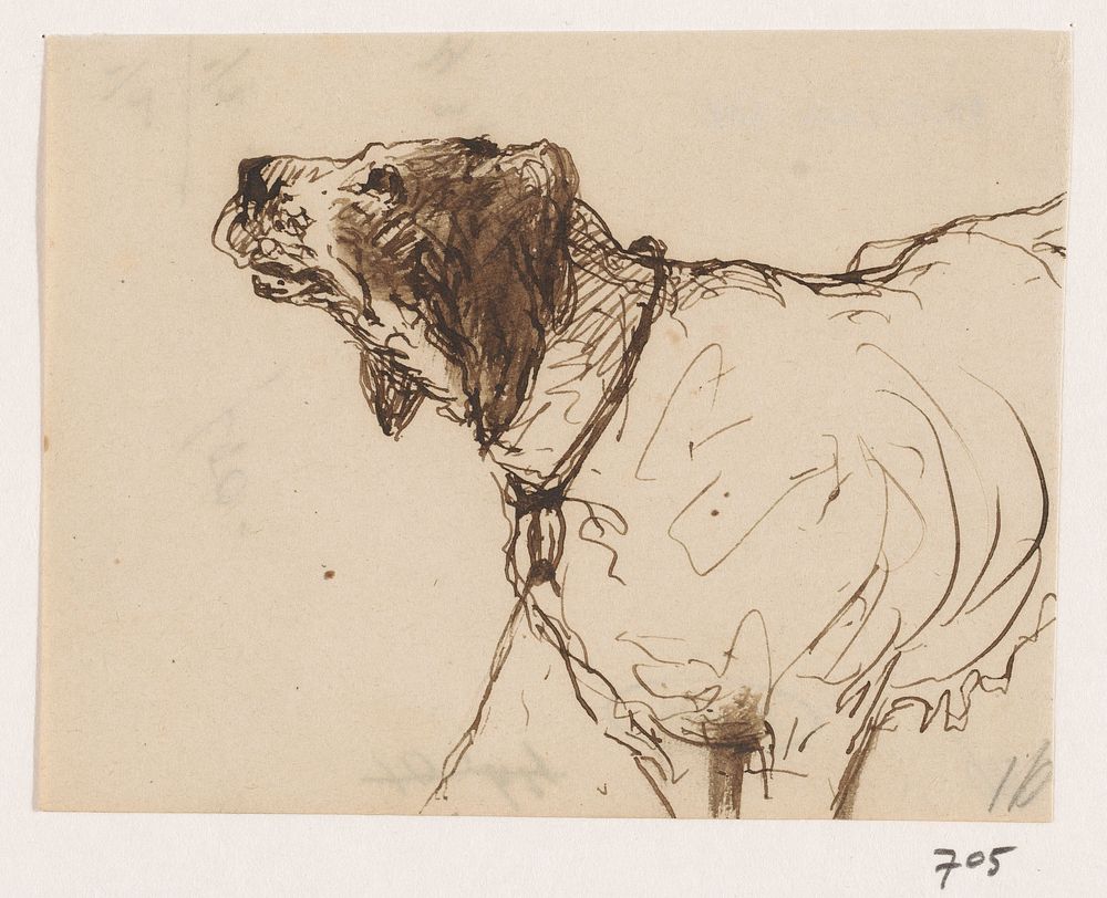 Jachthond (1840 - 1880) by Johannes Tavenraat