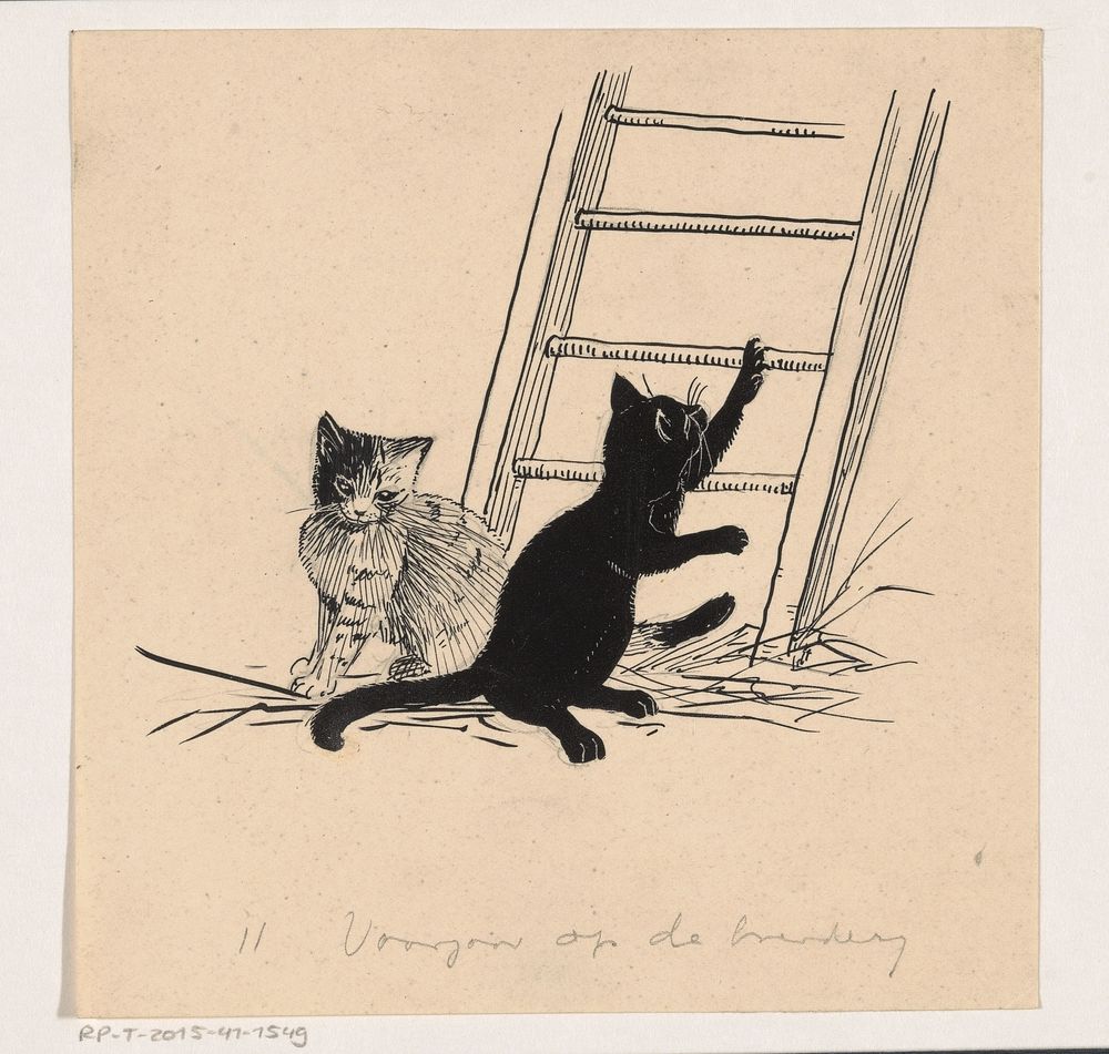 Twee katten in het stro bij een ladder (1892 - 1940) by Henri Verstijnen