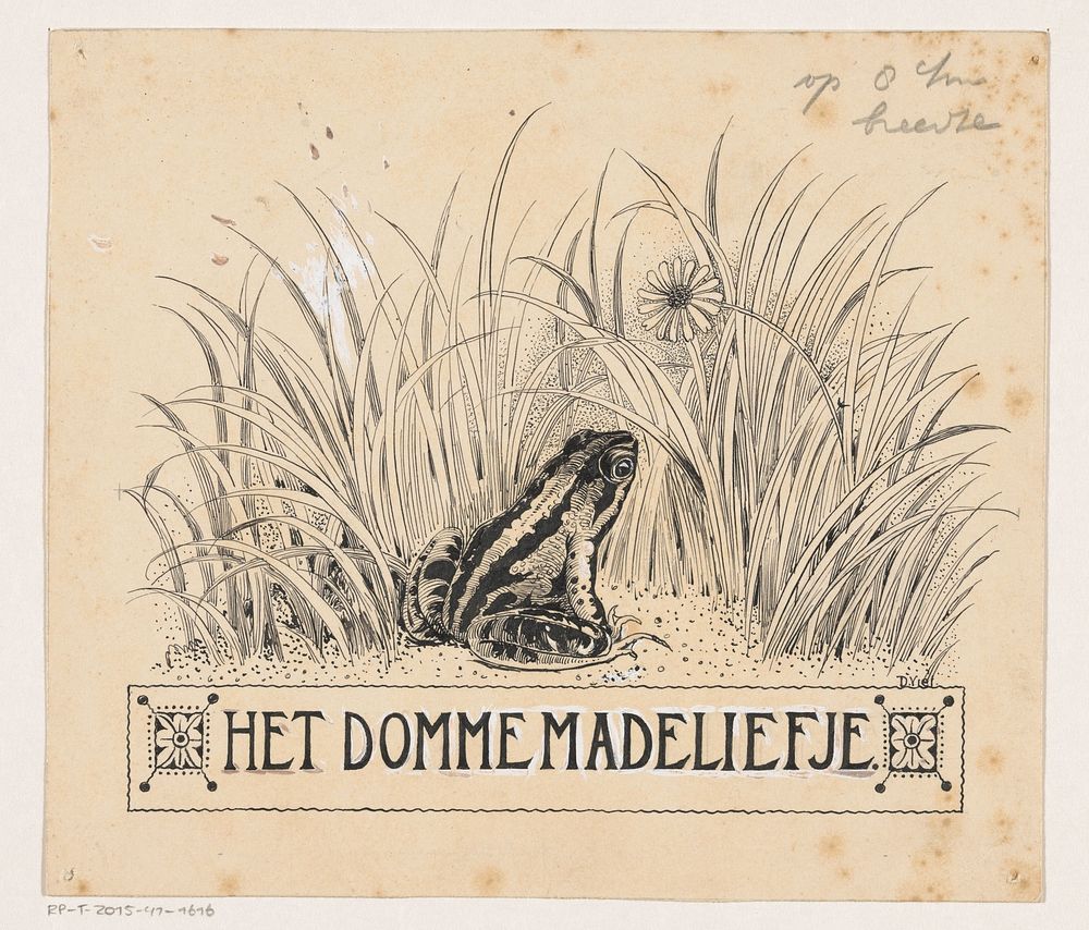 Kikker kijkt naar een madelief (c. 1915 - c. 1935) by D Viel