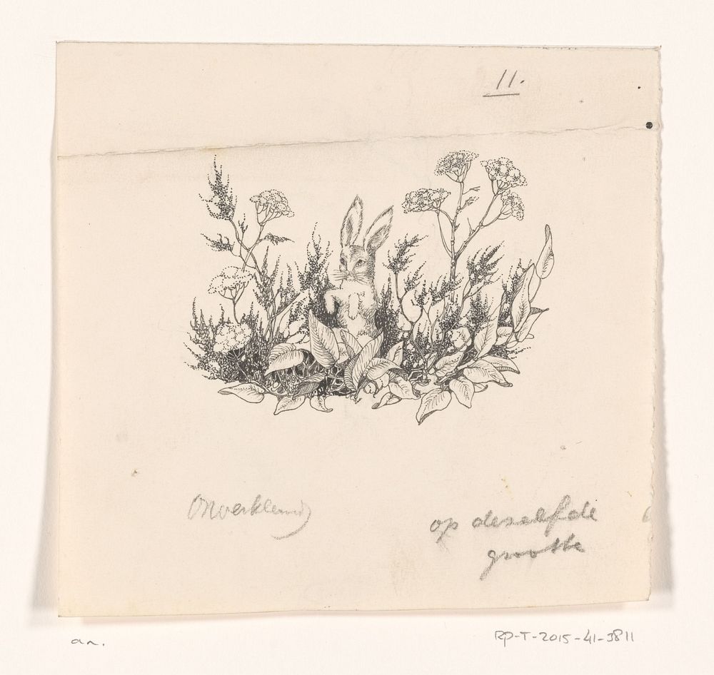 Haas tussen bloemen en planten (c. 1890 - c. 1930) by anonymous