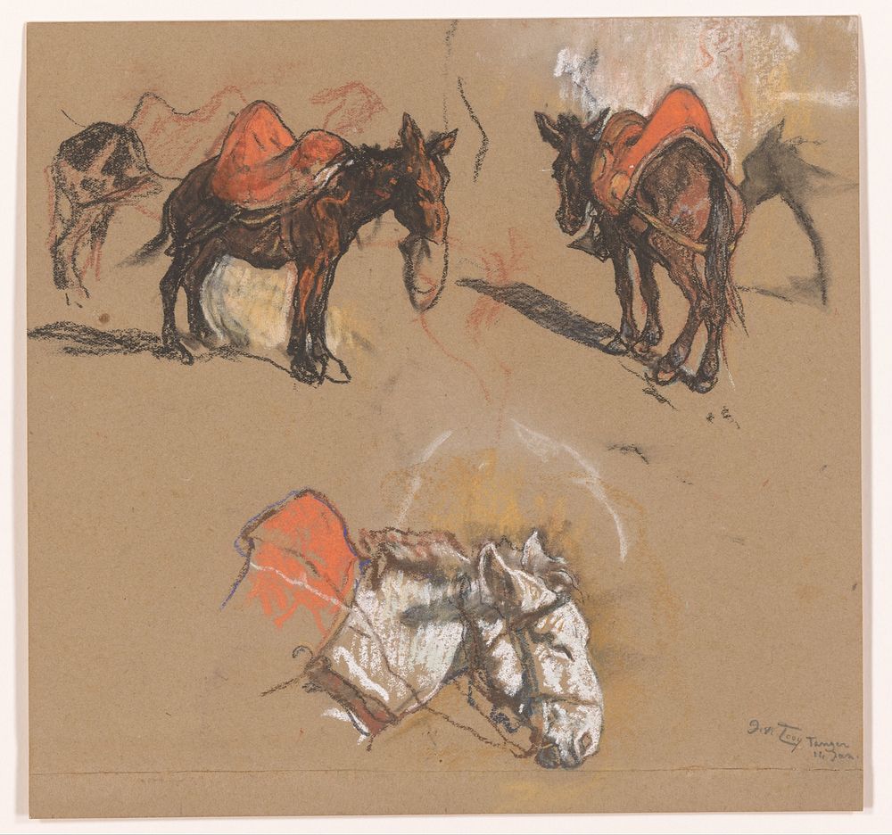 Studies van ezels en een muildier op de Grote Markt te Tanger (1902) by Jac van Looij