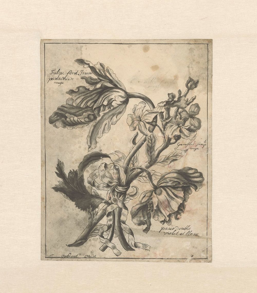 Bloemen met een lint samengebonden (1700 - 1800) by J Porteret