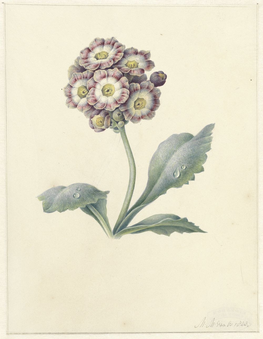 Bloemenstudie (1823) by Maria Margaretha van Os