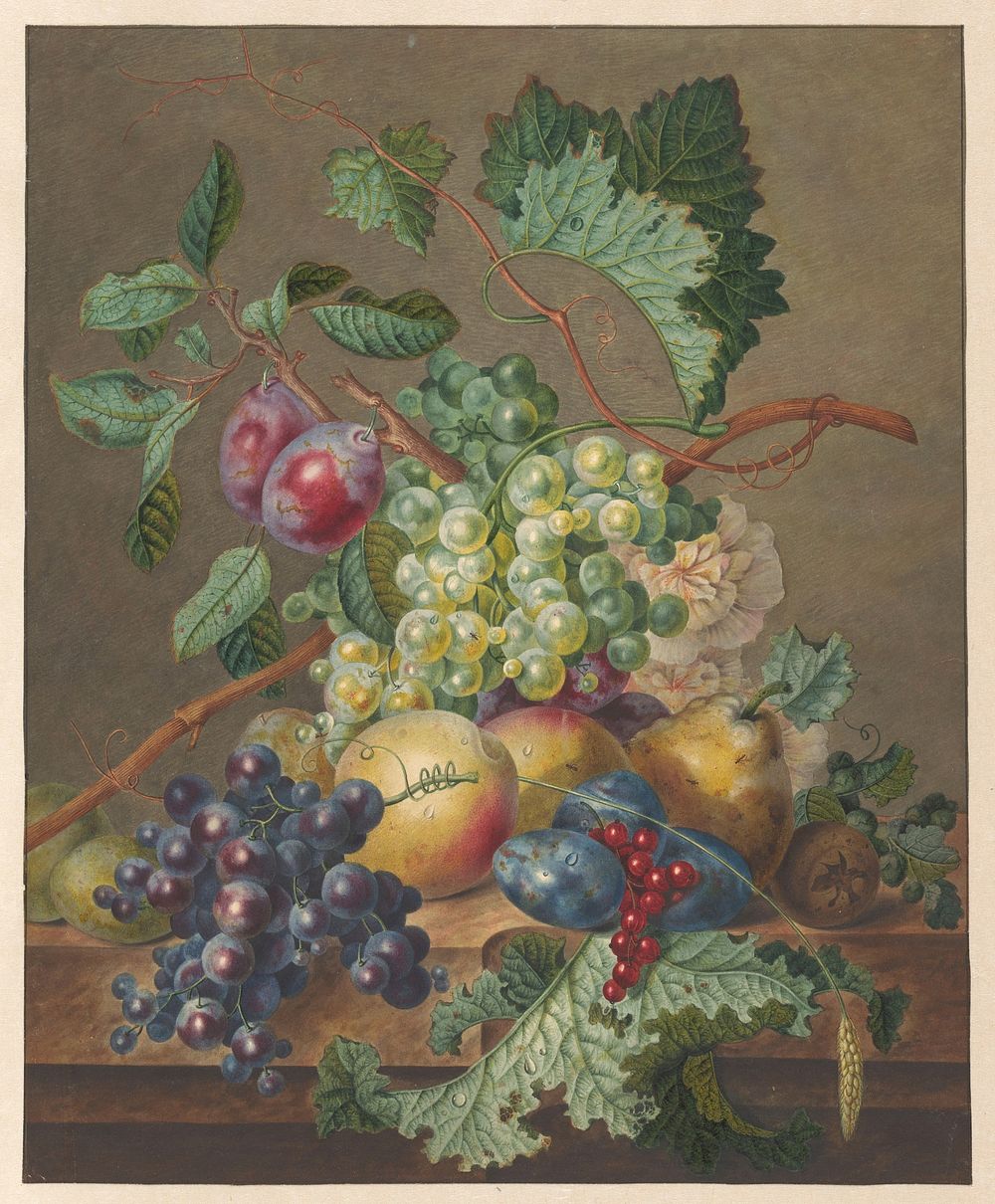 Stilleven met vruchten (1700 - 1800) by Jan de Bruyn and Johannes Cornelis de Bruyn