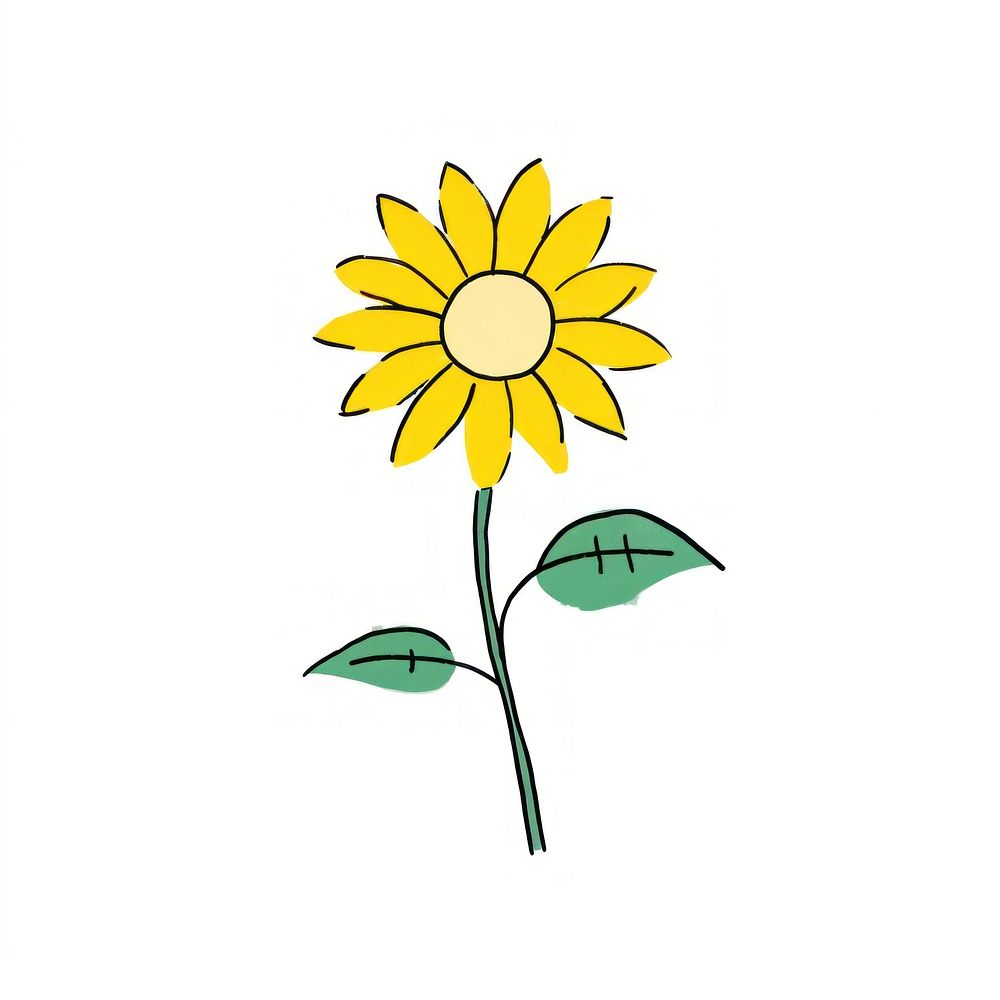 Sunflower cartoon drawing plant.