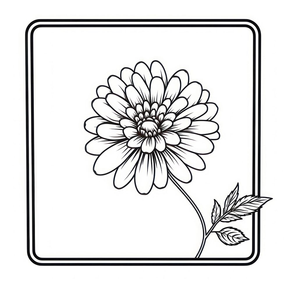 Drawing sketch flower daisy.