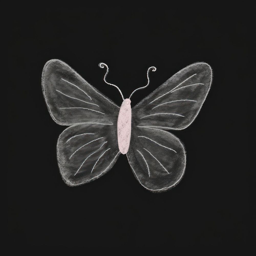 Butterfly sketch black background magnification.