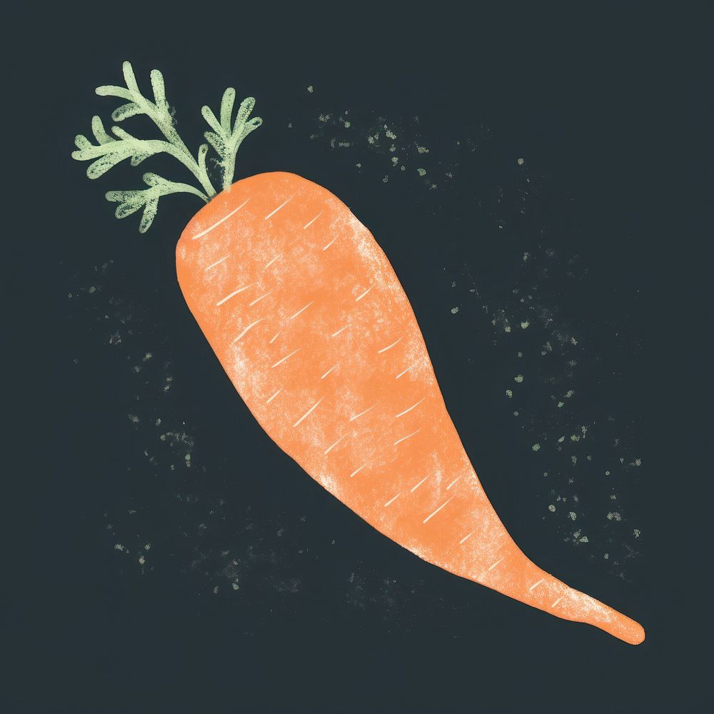 Chalk style carrot vegetable plant food.