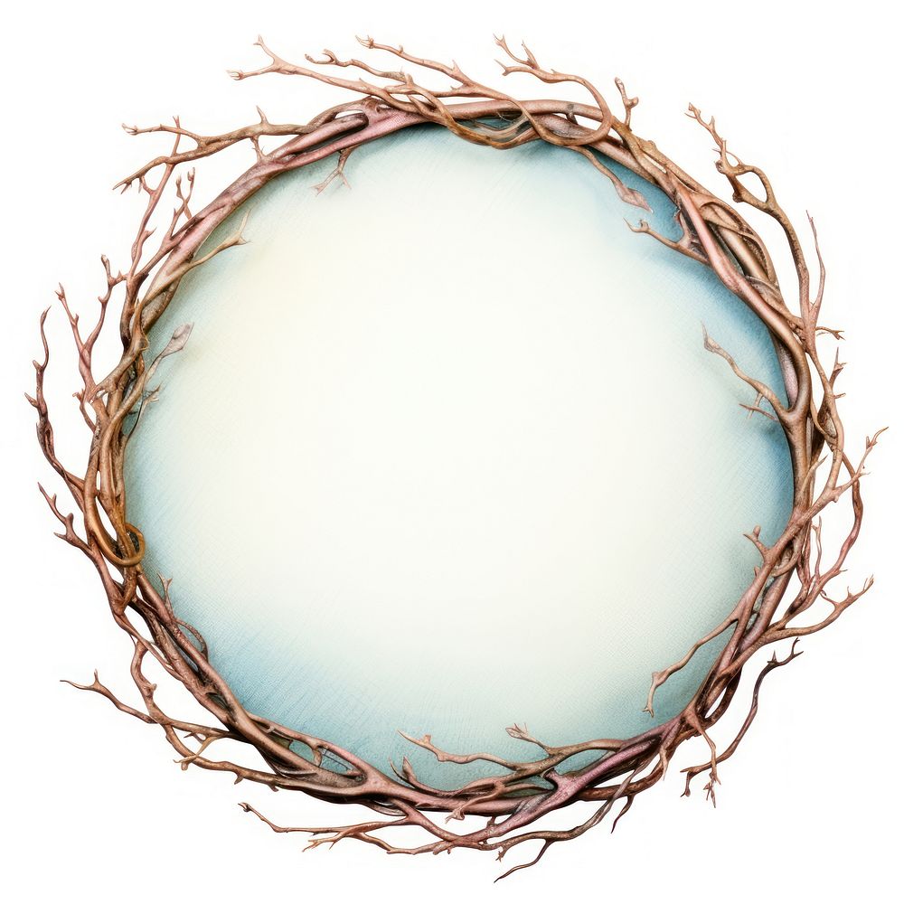 Thorns circle wreath white background. AI generated Image by rawpixel.