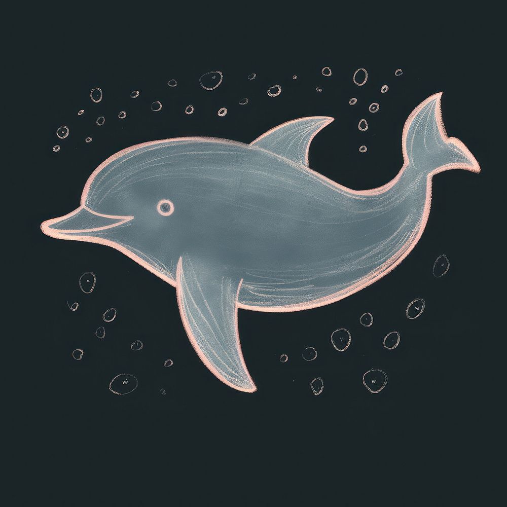 Chalk style dolphin animal mammal fish.