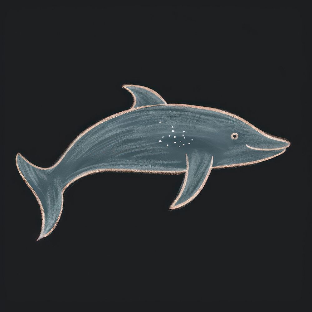 Chalk style dolphin animal mammal shark.