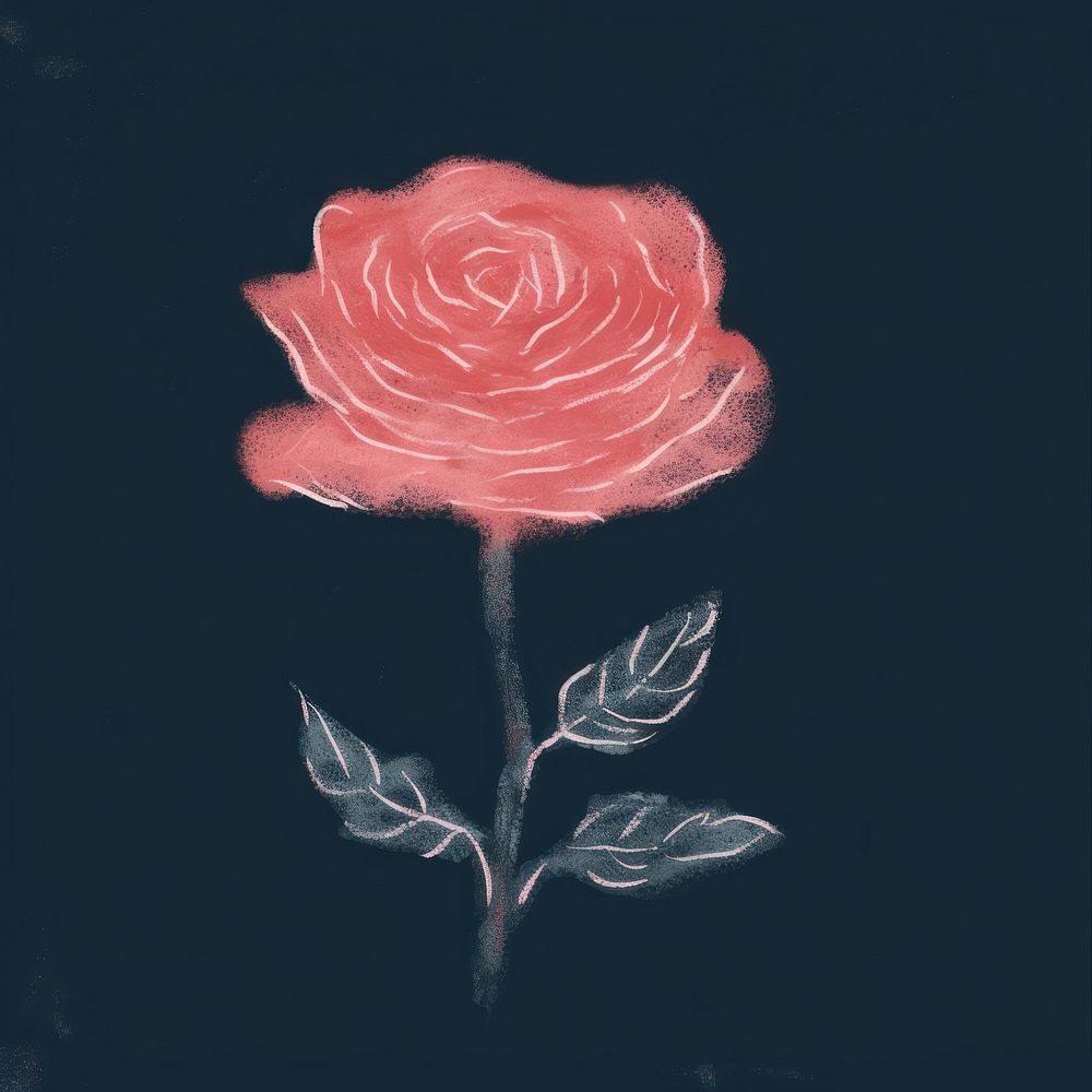 Chalk style rose painting flower petal.