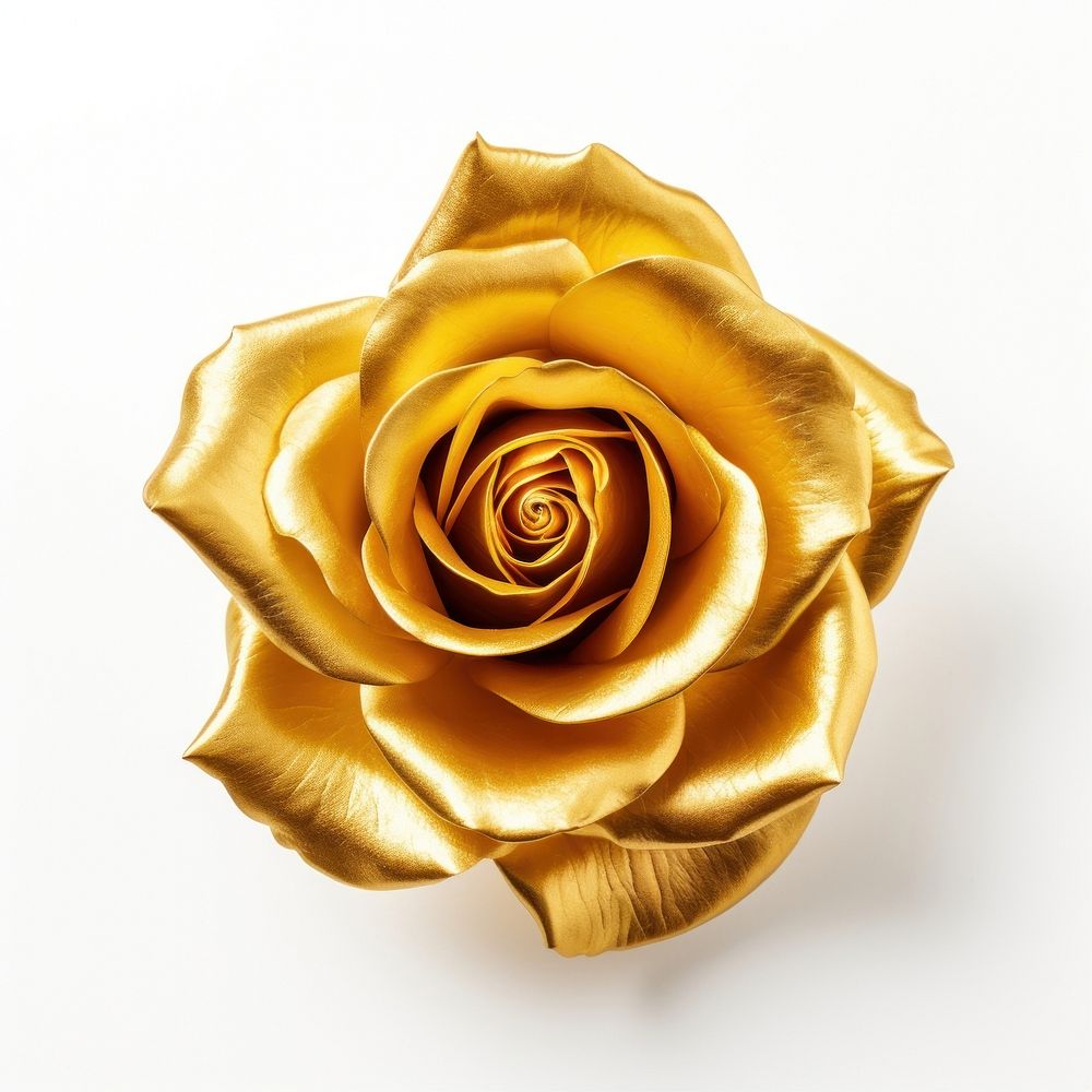 Golden rose jewelry flower plant.