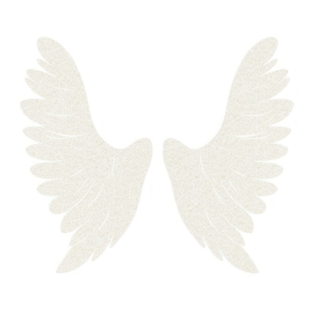 Wings white angel white background.