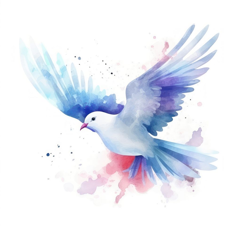 Dove in Watercolor style animal bird white background.