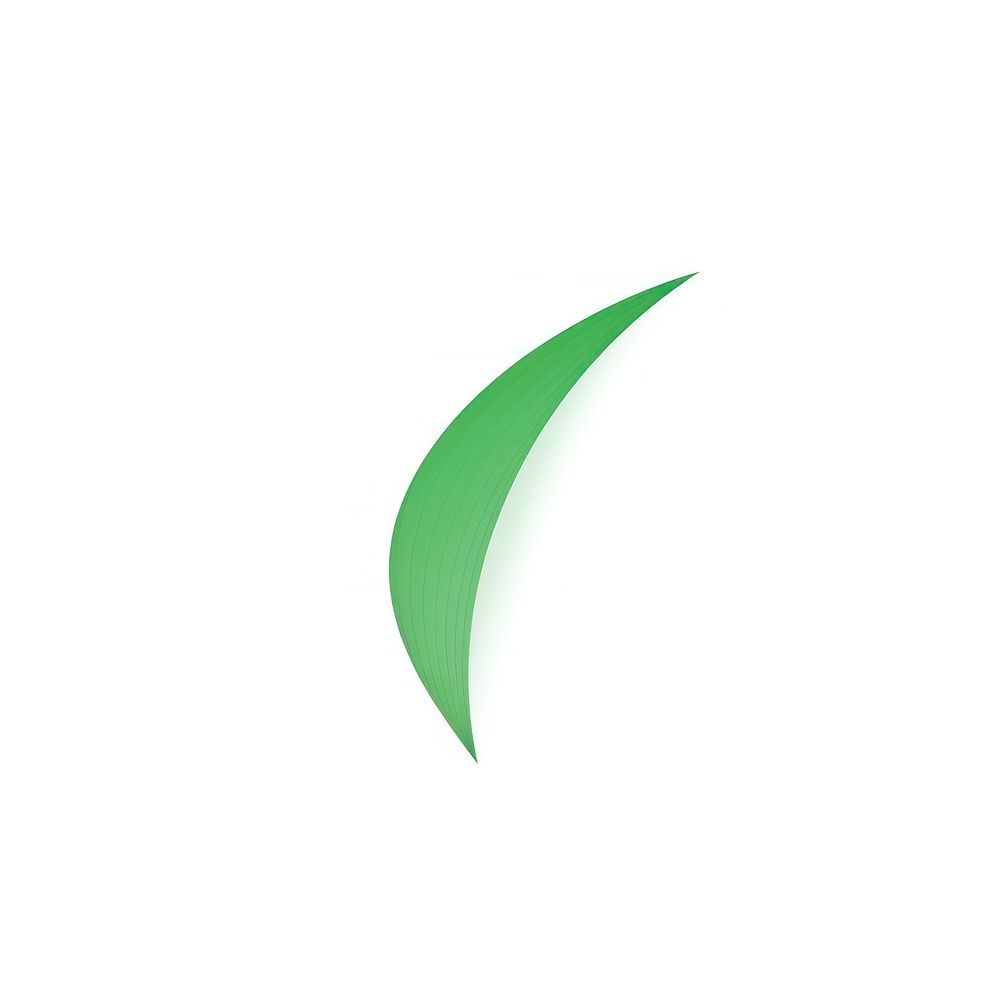 Green tick vectorized line logo white background astronomy.
