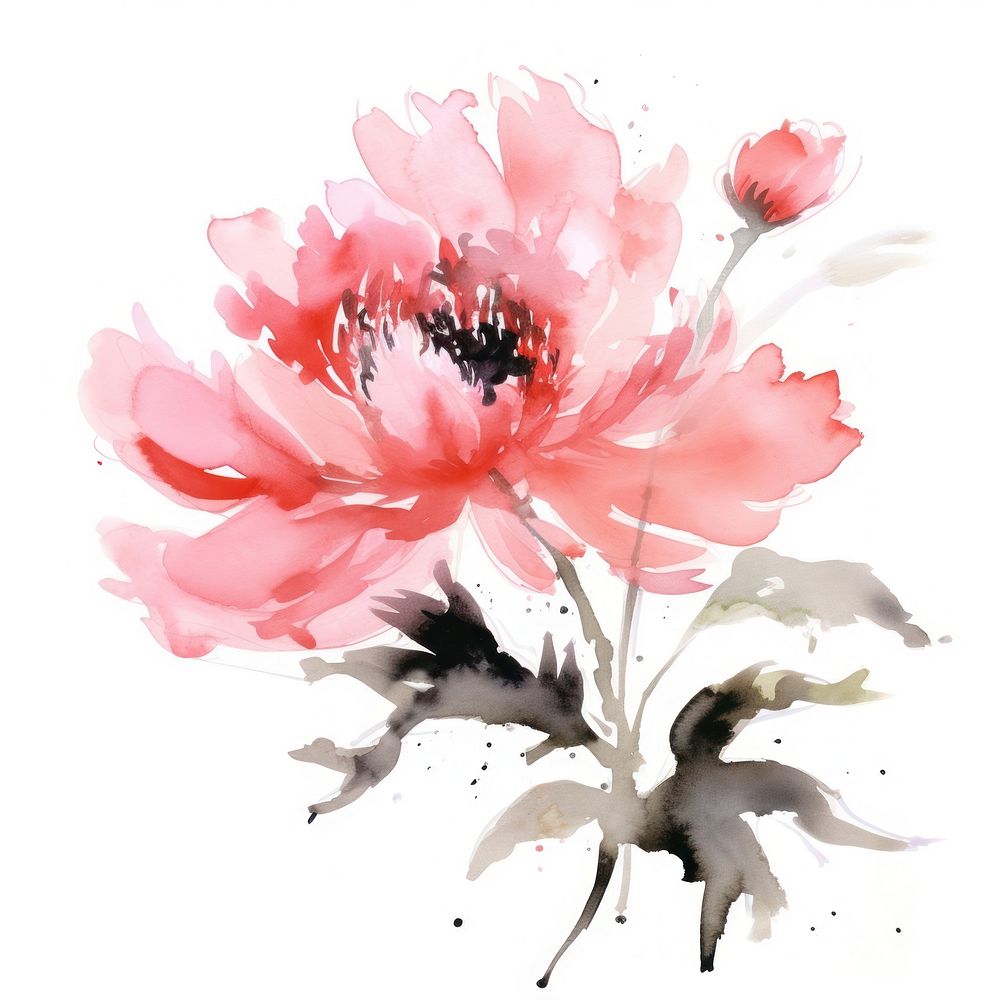 Peony painting blossom flower. AI generated Image by rawpixel.