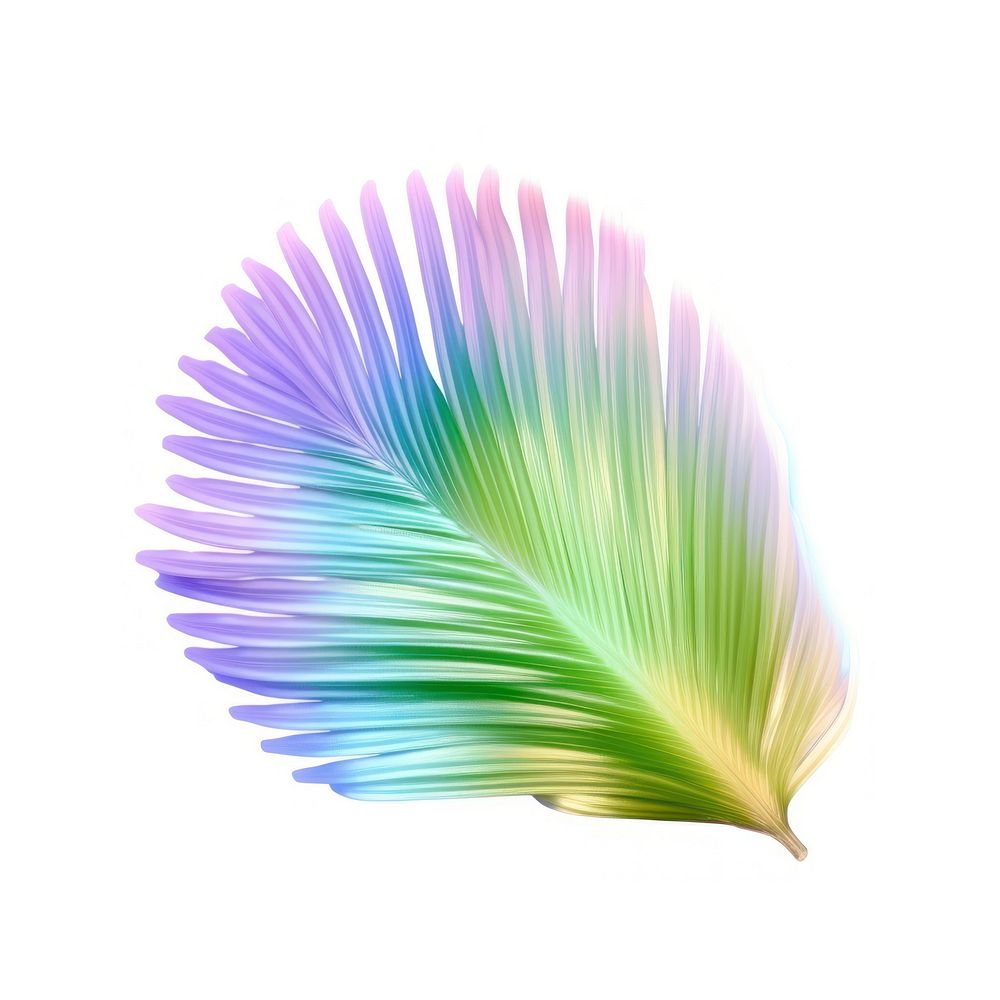 Holography palm leaf petal white background lightweight.